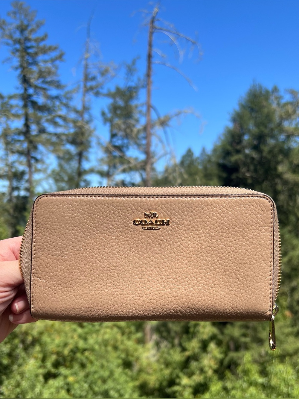 COACH Long Zip-Around Taupe/Beige Pebble Leather Wallet Gold Hardware AUTHENTIC